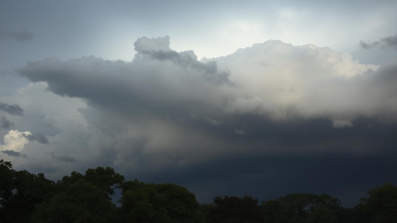Storm & Tornado Tree Prep: A Greater Birmingham Homeowner's Checklist